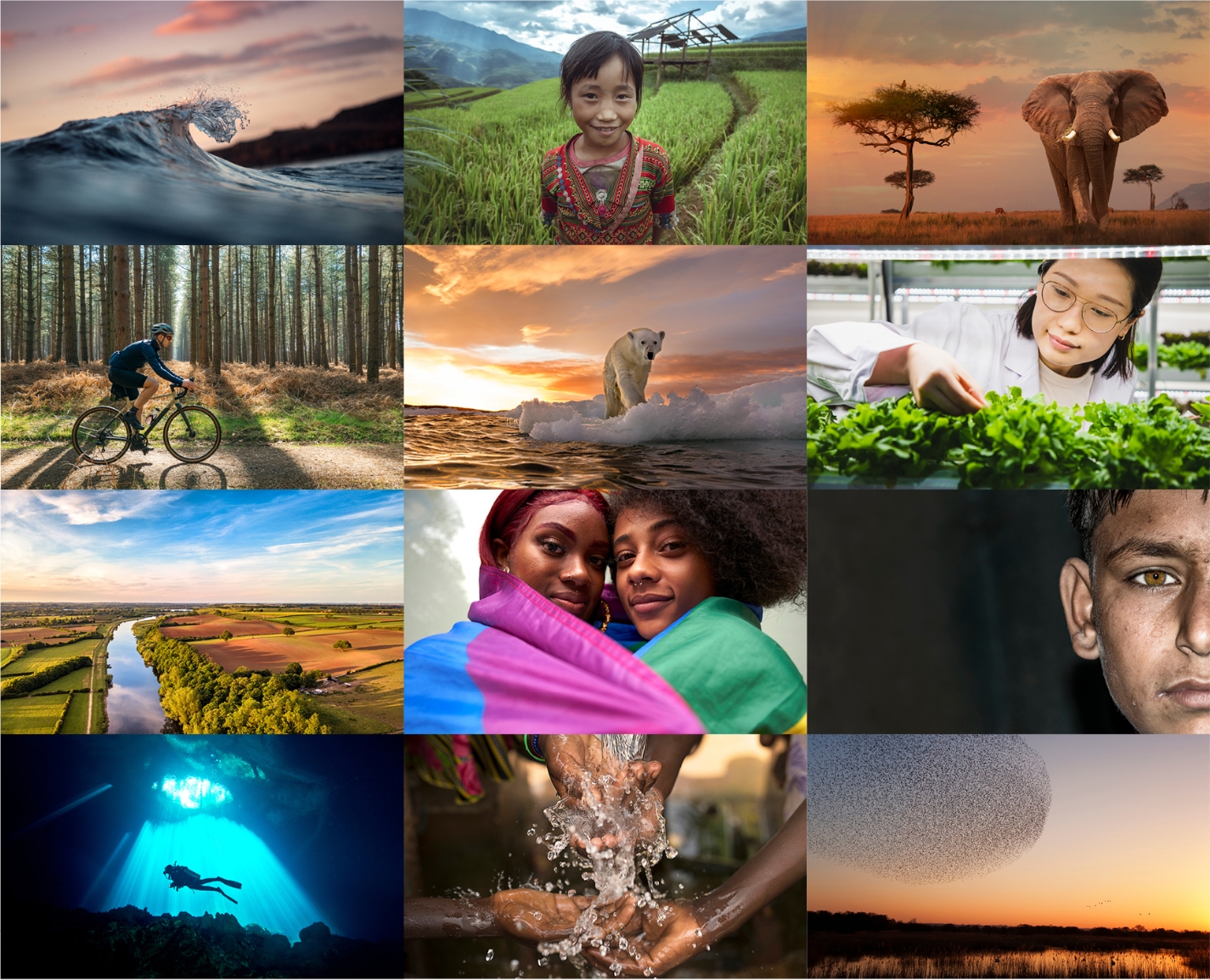 Grid of 12 tier two sample images of civic university