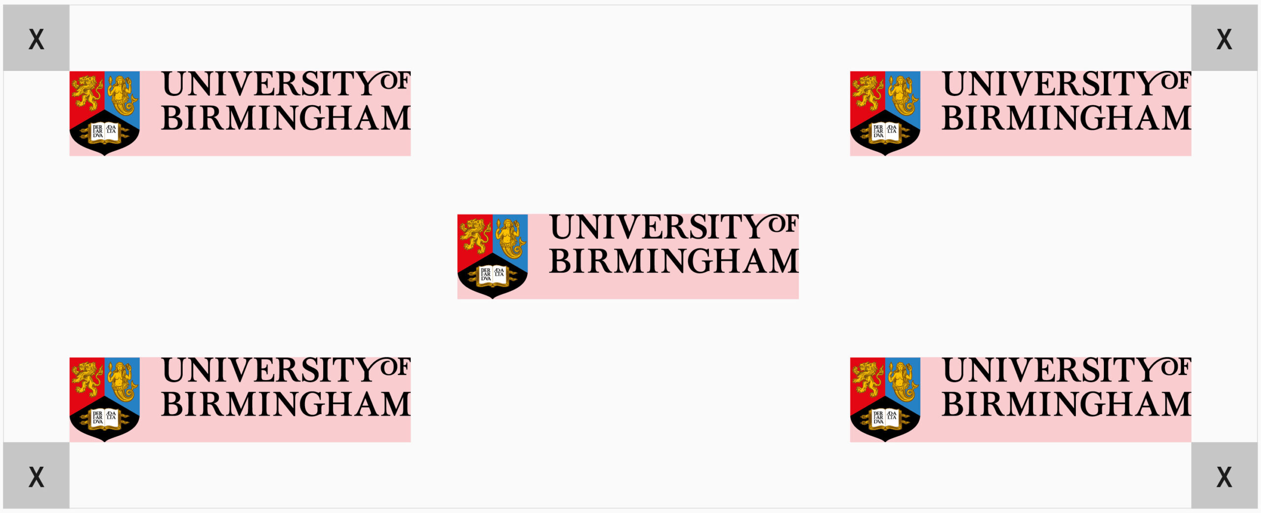 47. University-of-Birmingham-logo-placement-on-thin-landscape-format